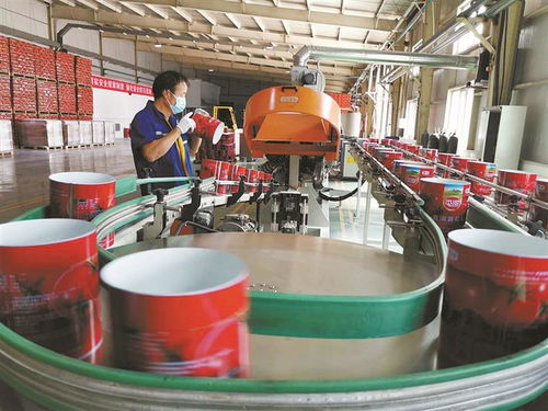 防疫不松劲 生产加速度 技术开发 三线并进，筑牢发展根基